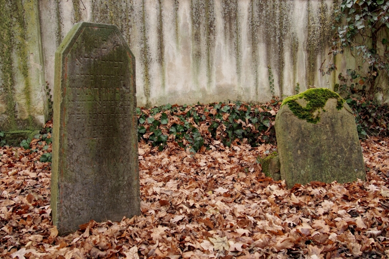 Židovský hřbitov Hranice_69