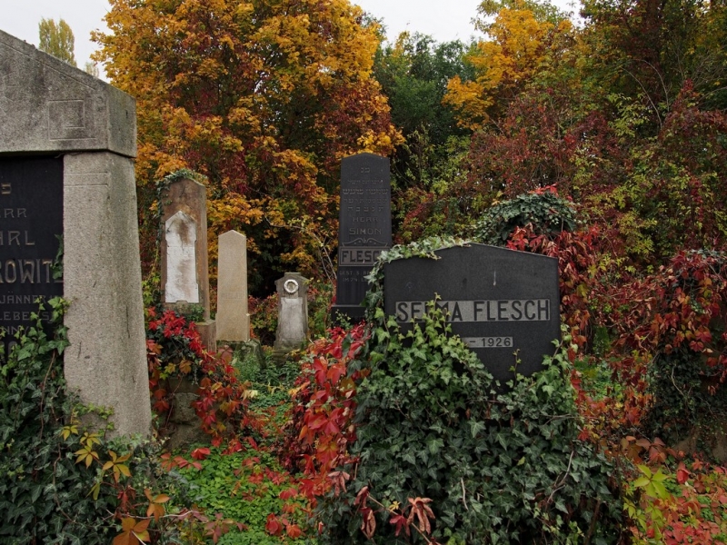 Židovský hřbitov Prostějov_11