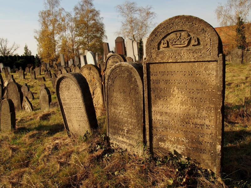 Židovský hřbitov Holešov_60