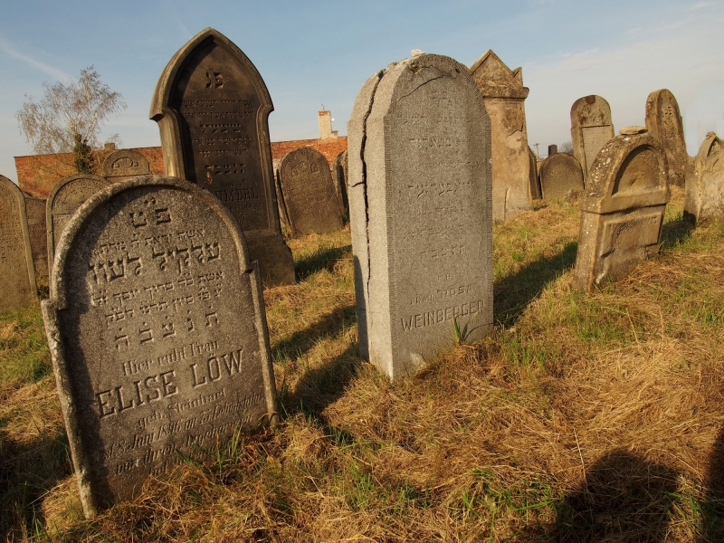 Židovský hřbitov Holešov_62