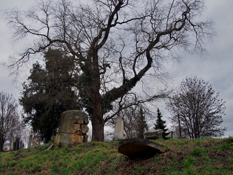 Židovský hřbitov Ivanovice na Hané_50