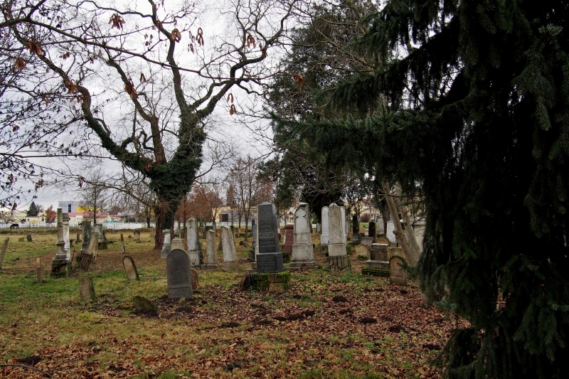 Židovský hřbitov Ivanovice na Hané_56
