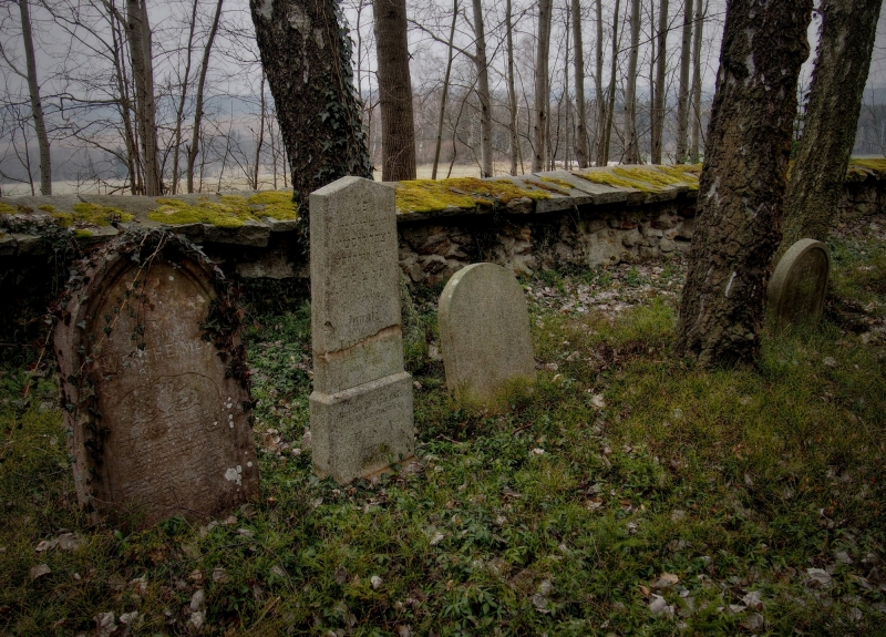 Židovský hřbitov Kamenice nad Lipou_6