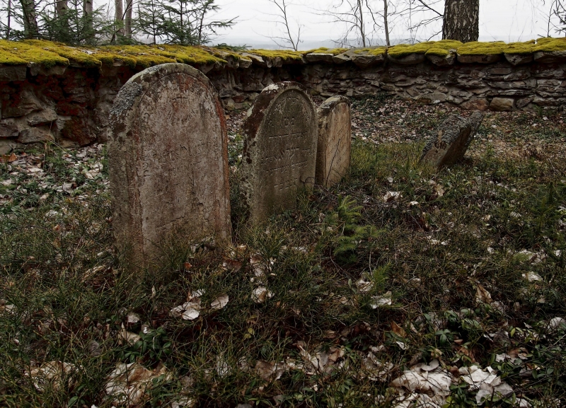 Židovský hřbitov Kamenice nad Lipou_10