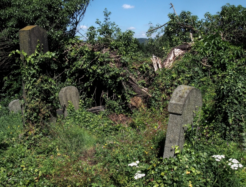 Židovský hřbitov Klatovy_19