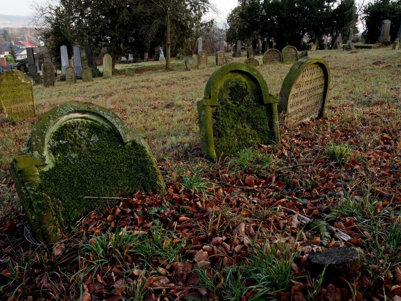 Židovský hřbitov Loštice_5