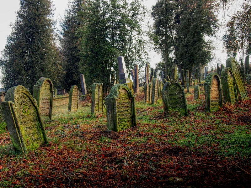 Židovský hřbitov Loštice_7