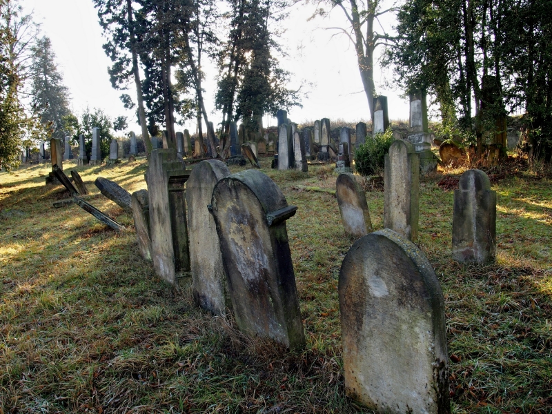 Židovský hřbitov Loštice_11