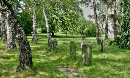 Židovské hřbitovy Lipník nad Bečvou_4