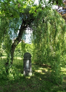 Židovské hřbitovy Lipník nad Bečvou_9