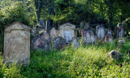Židovský hřbitov Boskovice_30