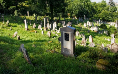 Židovský hřbitov Boskovice_38