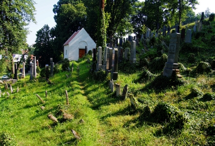 Židovský hřbitov Boskovice_40