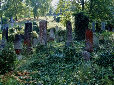 Židovský hřbitov Boskovice_42