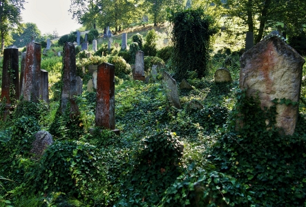 Židovský hřbitov Boskovice_43