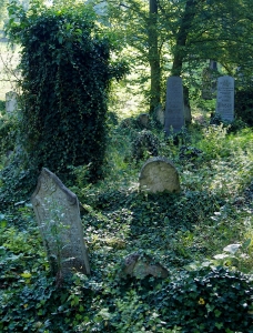 Židovský hřbitov Boskovice_44