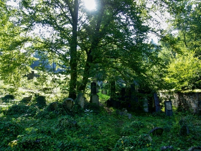 Židovský hřbitov Boskovice_48