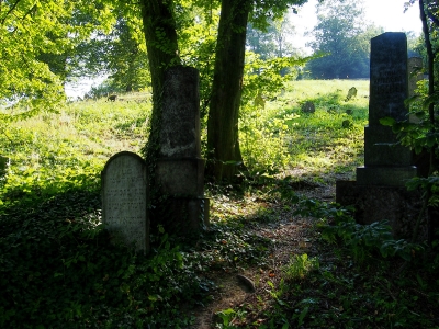 Židovský hřbitov Boskovice_51