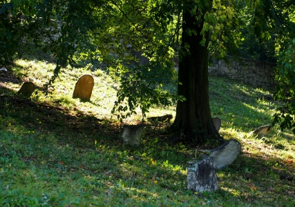 Židovský hřbitov Boskovice_59
