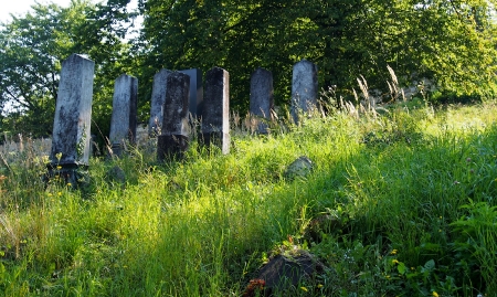 Židovský hřbitov Boskovice_61