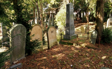 Židovský hřbitov Bzenec_22