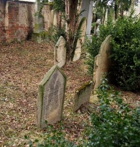 Židovský hřbitov Bzenec_51