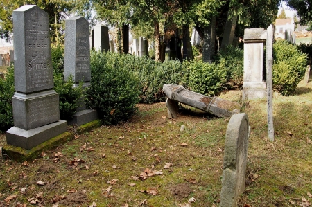 Židovský hřbitov Bzenec_53