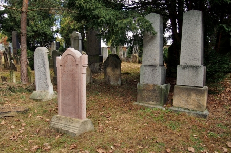 Židovský hřbitov Bzenec_56