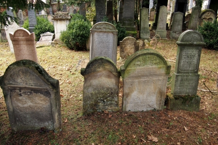 Židovský hřbitov Bzenec_61