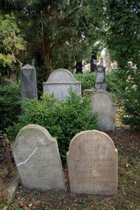 Židovský hřbitov Bzenec_66