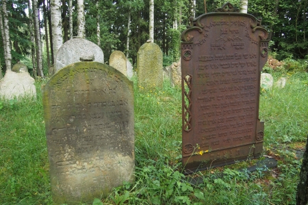 Židovský hřbitov Dřevíkov_10