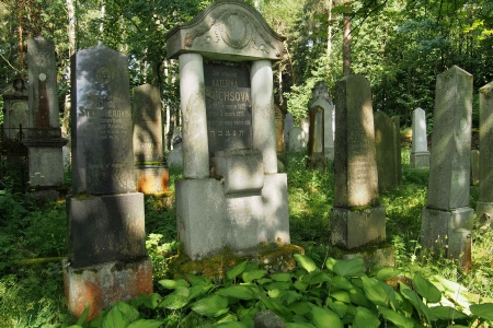 Židovský hřbitov Dřevíkov_15