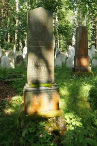 Židovský hřbitov Dřevíkov_16