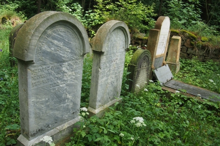 Židovský hřbitov Dřevíkov_25
