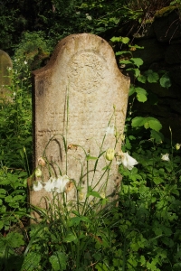 Židovský hřbitov Dřevíkov_28
