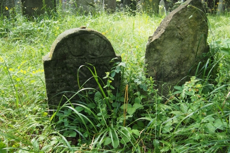 Židovský hřbitov Dřevíkov_29