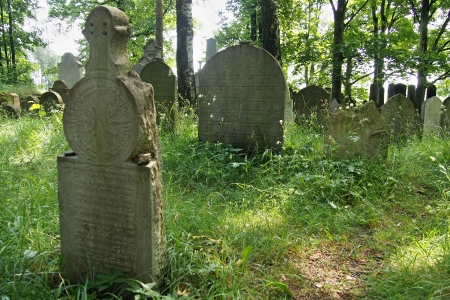 Židovský hřbitov Dřevíkov_31
