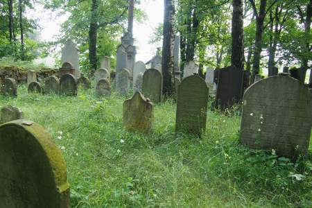 Židovský hřbitov Dřevíkov_32