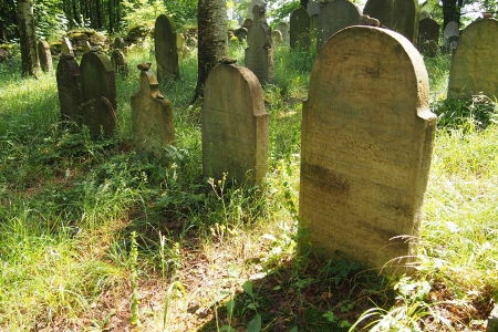 Židovský hřbitov Dřevíkov_35