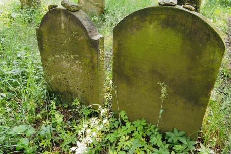 Židovský hřbitov Dřevíkov_36