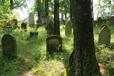 Židovský hřbitov Dřevíkov_38