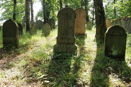 Židovský hřbitov Dřevíkov_39