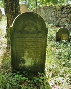 Židovský hřbitov Dřevíkov_40