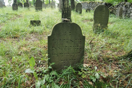 Židovský hřbitov Dřevíkov_42