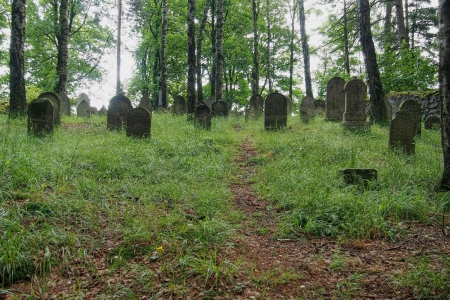 Židovský hřbitov Dřevíkov_43
