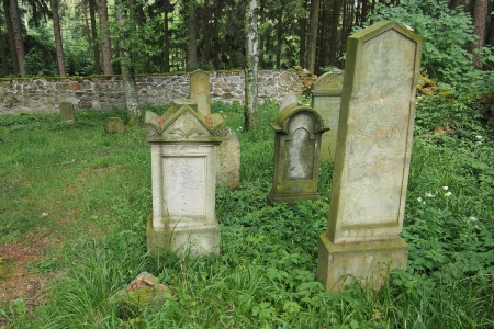 Židovský hřbitov Dřevíkov_44