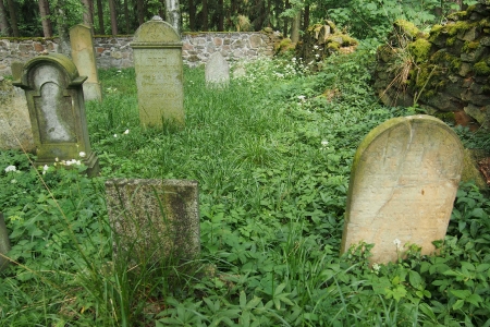 Židovský hřbitov Dřevíkov_45