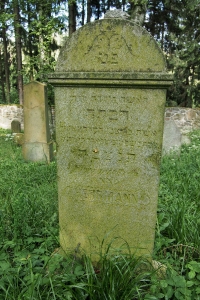 Židovský hřbitov Dřevíkov_47