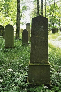 Židovský hřbitov Dřevíkov_50