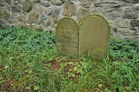 Židovský hřbitov Dřevíkov_54